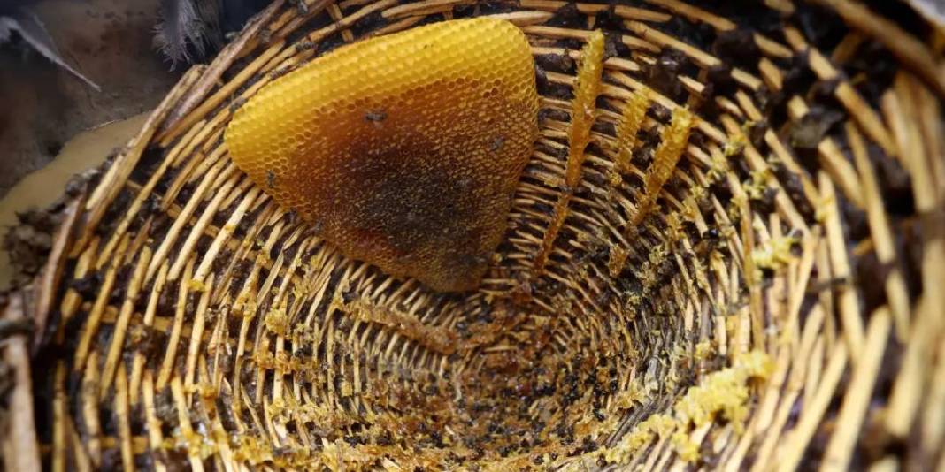 Kayınpeder mirasına sahip çıktı! O ürettikçe talep artıyor: Suni değil hepsi arıdan orijinal geliyor 2